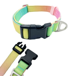 Colorful Nylon Webbing Dog Collar With Airtag Holder