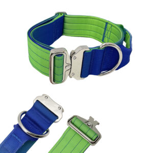 Gradient Color Heavy Duty Dog Collar