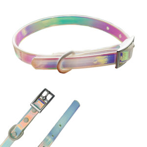 Rainbow Iridescent Waterproof Silicone Dog Collar