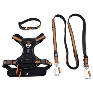 No Pull Training Dog Harness Vest With Bag,Pet Collar Leash Harness Set