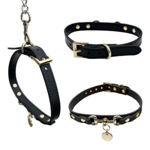Black Dog Leather Collar With Gold Hardware