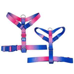 2 Inch Width Webbing Gradient Color Strong Dog Harness For Big Dog
