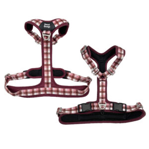 Customizable Adventure Dog Harness With Soft Air Mesh Lined