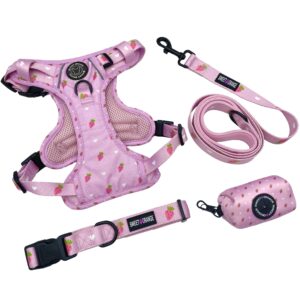 Custom Print Oxford Fabric Dog Harness Set, Dog Collar Leash Harness Bowtie Poop Bag Holder Bandana Combo