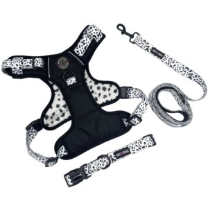 Dog Harness With Top Handle, Dog Harness, Collar, Lead Set