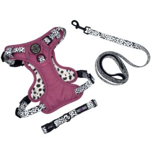 Designer Custom Print Dog Harness With Neck Buckle, Pet Collar, Leash Harness Set