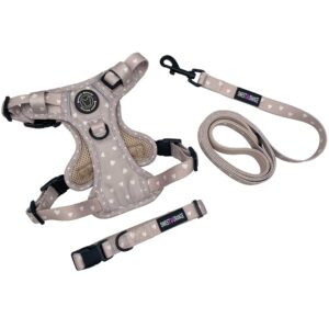 Premium Dog Harness With Collar,Leash Set
