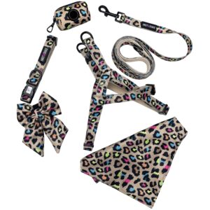 Custom Design Webbing Strap Dog Harness Collar Leash Bandana Set