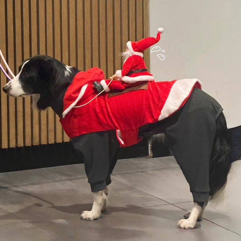 Pet Holiday Clothes