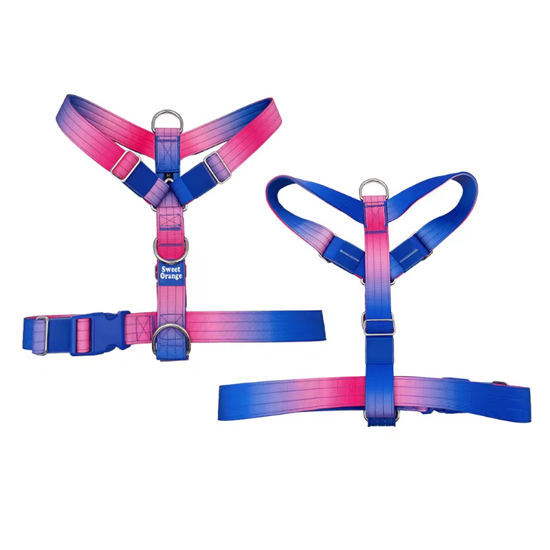 Y-shaped dog harness with gradient pink and blue webbing, adjustable strap harness for small to medium dogs