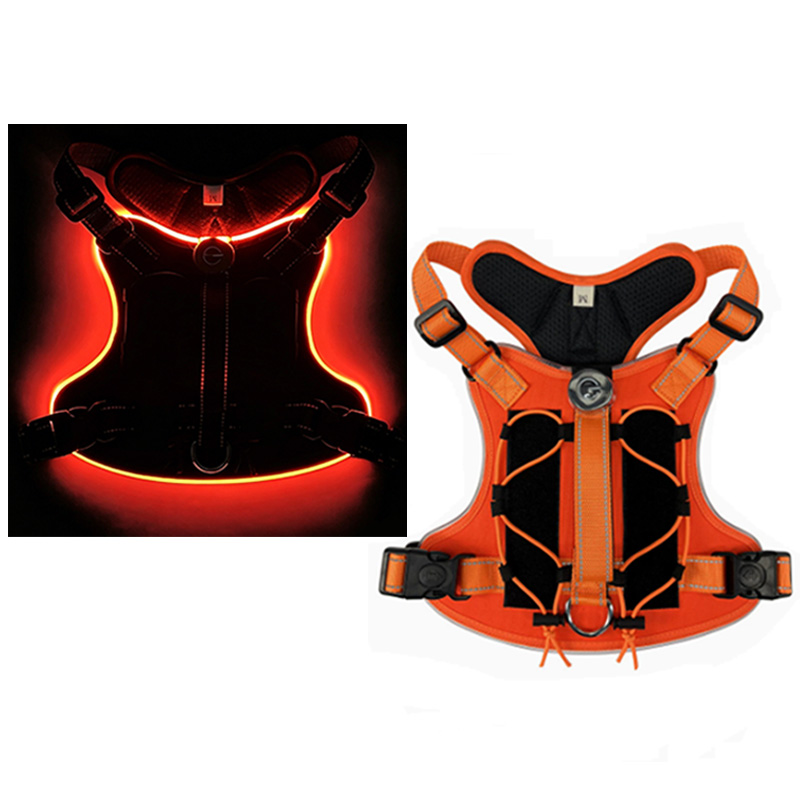 Rechargeable LED Dog Harness