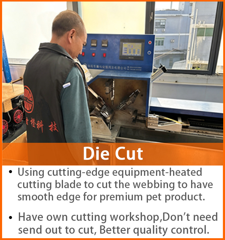 Die cutting machine processing premium webbing for durable pet products, precision cutting workshop with strict quality control