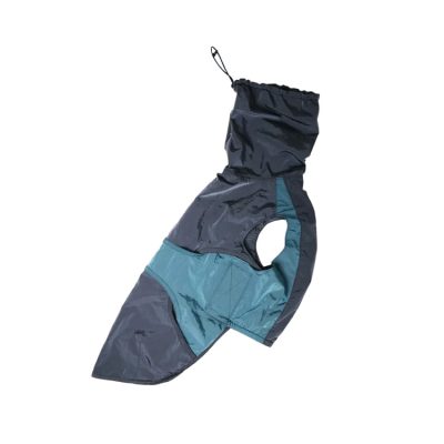 DOG-APPAREL-SERIES