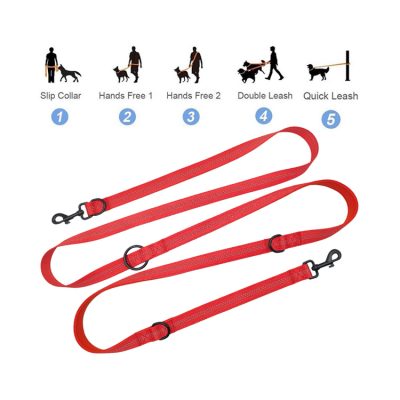 DOG-LEASH-SERIES