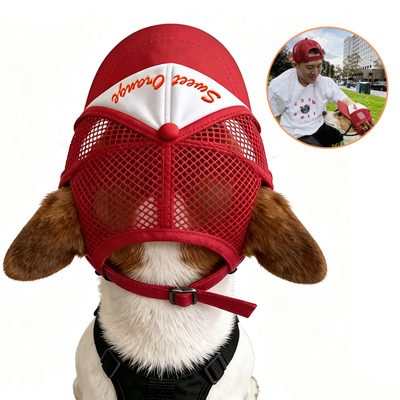 Dog Hat